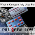 What Is Kamagra Jelly Used For 36